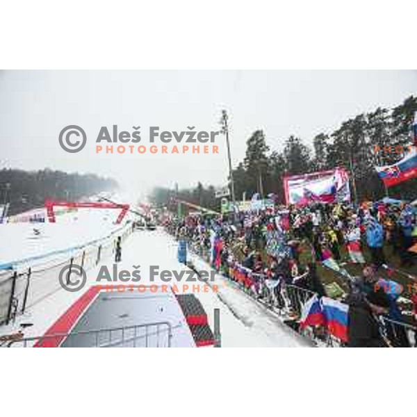 skiing in first run of AUDI FIS World Cup Giant Slalom for 55. Golden Fox Zlata Lisica in Maribor, Slovenia on February 1, 2019