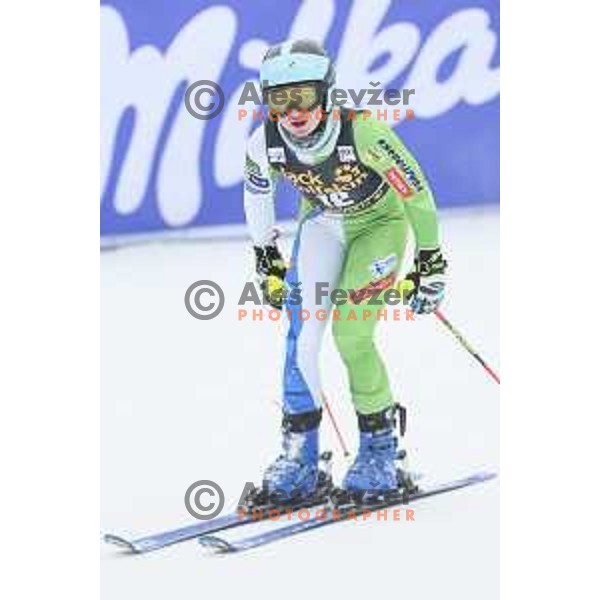 Meta Hrovat (SLO) skiing in the first run of AUDI FIS World Cup Giant Slalom for 55. Golden Fox Zlata Lisica in Maribor, Slovenia on February 1, 2019