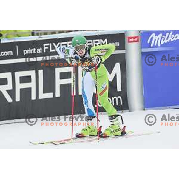 Meta Hrovat (SLO) skiing in the first run of AUDI FIS World Cup Giant Slalom for 55. Golden Fox Zlata Lisica in Maribor, Slovenia on February 1, 2019