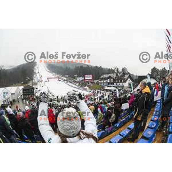 skiing in first run of AUDI FIS World Cup Giant Slalom for 55. Golden Fox Zlata Lisica in Maribor, Slovenia on February 1, 2019