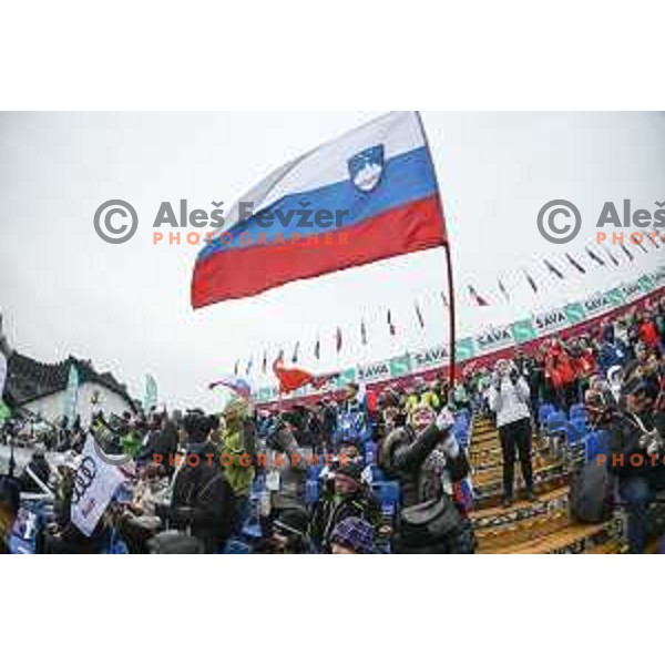 skiing in first run of AUDI FIS World Cup Giant Slalom for 55. Golden Fox Zlata Lisica in Maribor, Slovenia on February 1, 2019