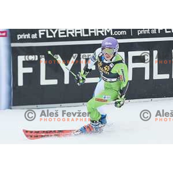 Ilka Stuhec (SLO) skiing in the first run of AUDI FIS World Cup Giant Slalom for 55. Golden Fox Zlata Lisica in Maribor, Slovenia on February 1, 2019