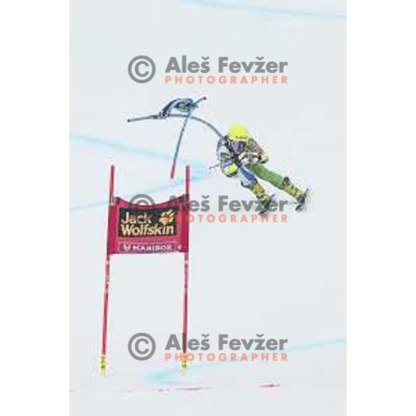skiing in first run of AUDI FIS World Cup Giant Slalom for 55. Golden Fox Zlata Lisica in Maribor, Slovenia on February 1, 2019