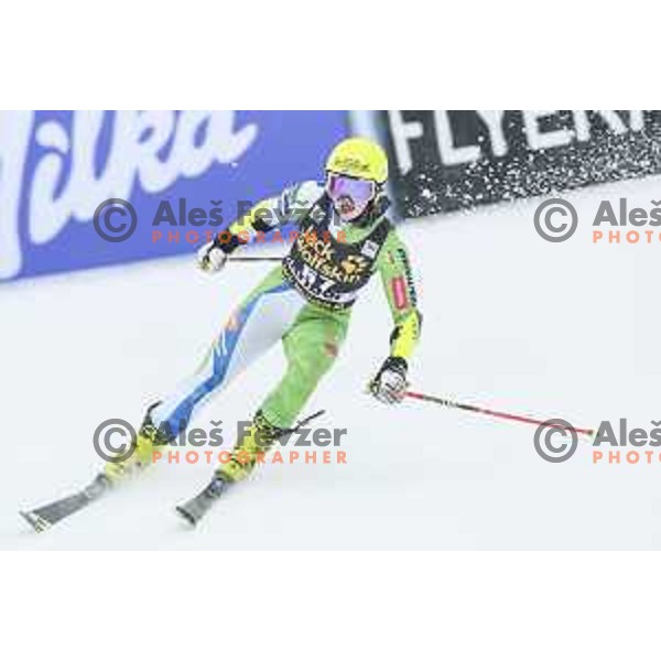 skiing in first run of AUDI FIS World Cup Giant Slalom for 55. Golden Fox Zlata Lisica in Maribor, Slovenia on February 1, 2019