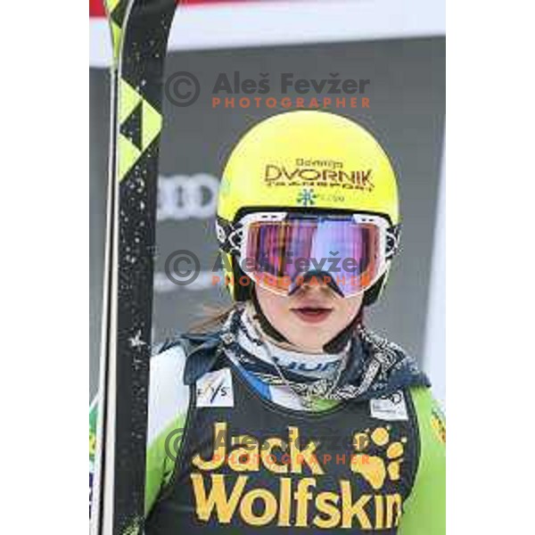 skiing in first run of AUDI FIS World Cup Giant Slalom for 55. Golden Fox Zlata Lisica in Maribor, Slovenia on February 1, 2019