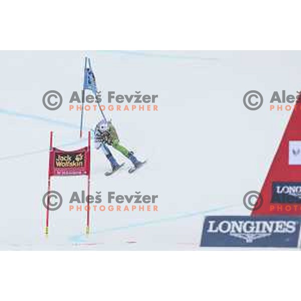 skiing in first run of AUDI FIS World Cup Giant Slalom for 55. Golden Fox Zlata Lisica in Maribor, Slovenia on February 1, 2019