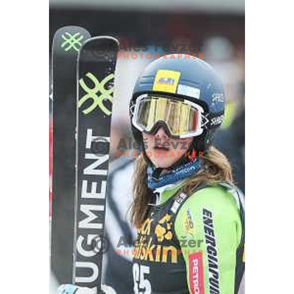 skiing in first run of AUDI FIS World Cup Giant Slalom for 55. Golden Fox Zlata Lisica in Maribor, Slovenia on February 1, 2019