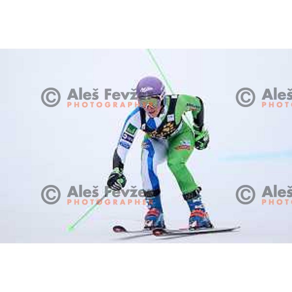 Ilka Stuhec (SLO) in the finish arena of AUDI FIS World Cup Giant Slalom for 55. Golden Fox Zlata Lisica in Maribor, Slovenia on February 1, 2019