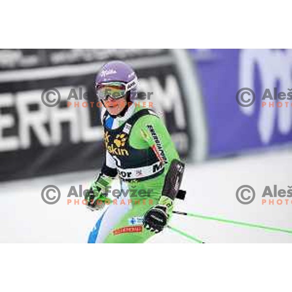 Ilka Stuhec (SLO) in the finish arena of AUDI FIS World Cup Giant Slalom for 55. Golden Fox Zlata Lisica in Maribor, Slovenia on February 1, 2019