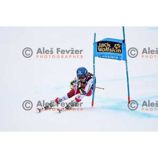 AUDI FIS World Cup Giant Slalom for 55. Golden Fox Zlata Lisica in Maribor, Slovenia on February 1, 2019