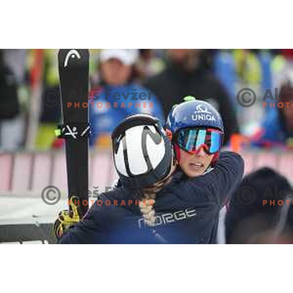 Petra Vlhova (SVK), winner of AUDI FIS World Cup Giant Slalom for 55. Golden Fox Zlata Lisica in Maribor, Slovenia on February 1, 2019