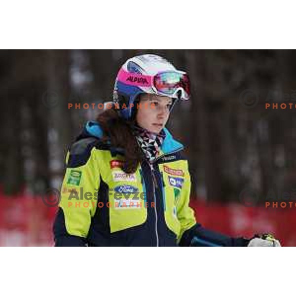 Course inspection before AUDI FIS World Cup Giant Slalom for 55. Golden Fox Zlata Lisica in Maribor, Slovenia on February 1, 2019