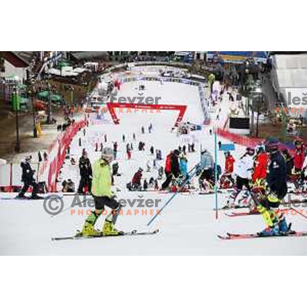 Course inspection before AUDI FIS World Cup Slalom for 55. Golden Fox Zlata Lisica in Maribor, Slovenia on February 2, 2019