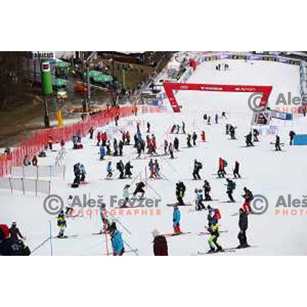 Course inspection before AUDI FIS World Cup Slalom for 55. Golden Fox Zlata Lisica in Maribor, Slovenia on February 2, 2019
