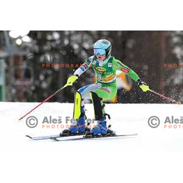 Meta Hrovat (SLO) skiing in the first run of AUDI FIS World Cup Slalom for 55. Golden Fox Zlata Lisica in Maribor, Slovenia on February 2, 2019