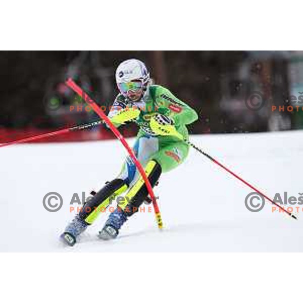 Ana Bucik skiing in the first run of AUDI FIS World Cup Slalom for 55. Golden Fox Zlata Lisica in Maribor, Slovenia on February 2, 2019