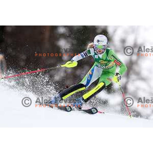 Ana Bucik skiing in the first run of AUDI FIS World Cup Slalom for 55. Golden Fox Zlata Lisica in Maribor, Slovenia on February 2, 2019