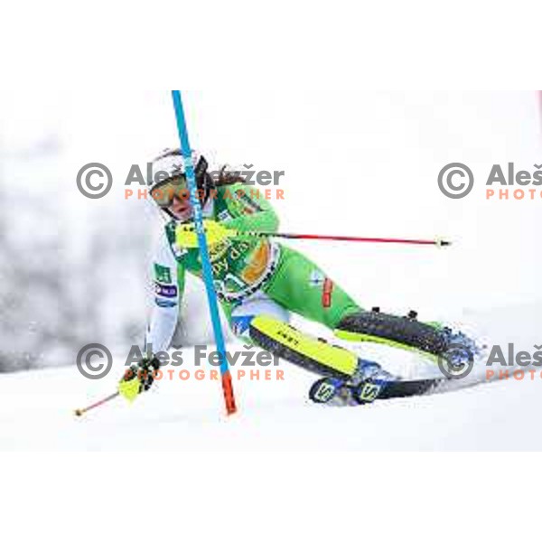 Marusa Ferk skiing in the first run of AUDI FIS World Cup Slalom for 55. Golden Fox Zlata Lisica in Maribor, Slovenia on February 2, 2019