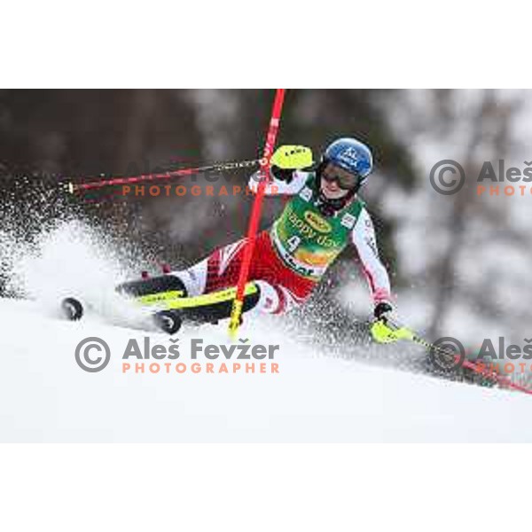 AUDI FIS World Cup Slalom for 55. Golden Fox Zlata Lisica in Maribor, Slovenia on February 2, 2019