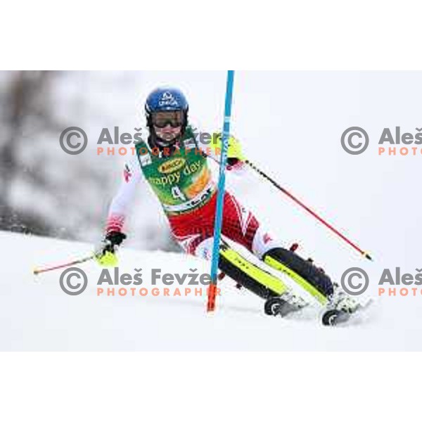 AUDI FIS World Cup Slalom for 55. Golden Fox Zlata Lisica in Maribor, Slovenia on February 2, 2019
