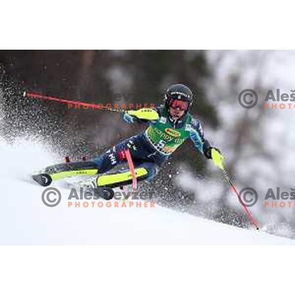 AUDI FIS World Cup Slalom for 55. Golden Fox Zlata Lisica in Maribor, Slovenia on February 2, 2019