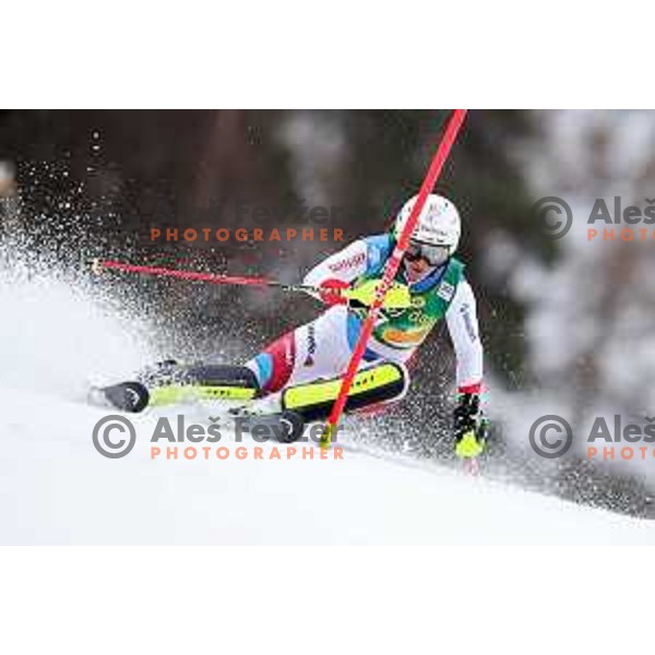 AUDI FIS World Cup Slalom for 55. Golden Fox Zlata Lisica in Maribor, Slovenia on February 2, 2019