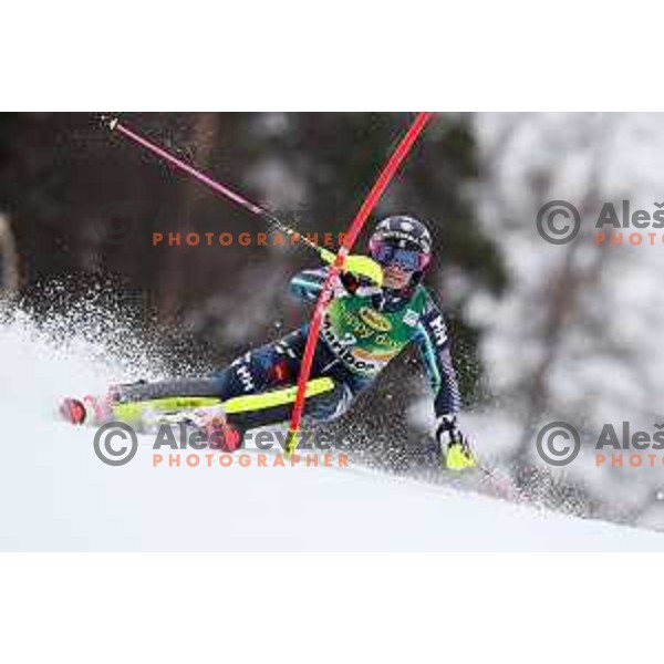 AUDI FIS World Cup Slalom for 55. Golden Fox Zlata Lisica in Maribor, Slovenia on February 2, 2019