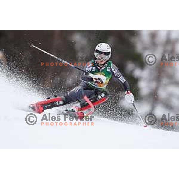 AUDI FIS World Cup Slalom for 55. Golden Fox Zlata Lisica in Maribor, Slovenia on February 2, 2019
