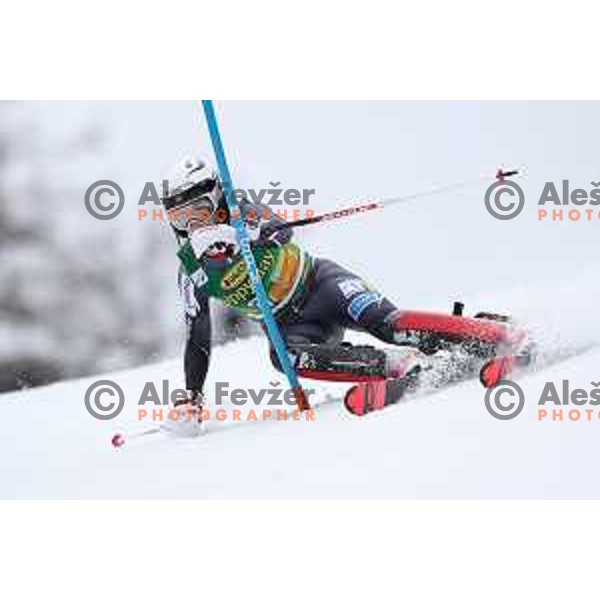AUDI FIS World Cup Slalom for 55. Golden Fox Zlata Lisica in Maribor, Slovenia on February 2, 2019