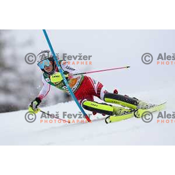 AUDI FIS World Cup Slalom for 55. Golden Fox Zlata Lisica in Maribor, Slovenia on February 2, 2019