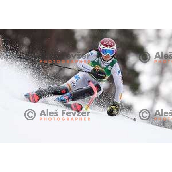 AUDI FIS World Cup Slalom for 55. Golden Fox Zlata Lisica in Maribor, Slovenia on February 2, 2019
