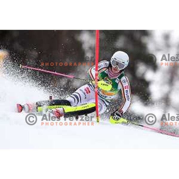 AUDI FIS World Cup Slalom for 55. Golden Fox Zlata Lisica in Maribor, Slovenia on February 2, 2019