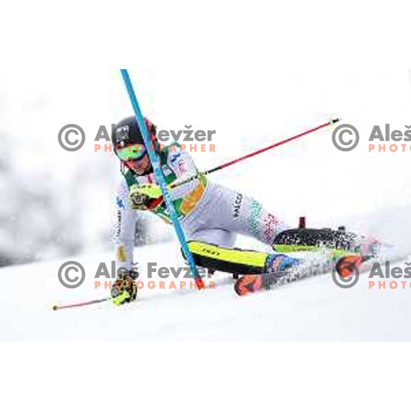 AUDI FIS World Cup Slalom for 55. Golden Fox Zlata Lisica in Maribor, Slovenia on February 2, 2019