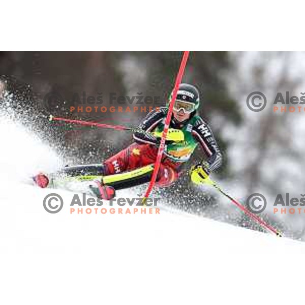 AUDI FIS World Cup Slalom for 55. Golden Fox Zlata Lisica in Maribor, Slovenia on February 2, 2019