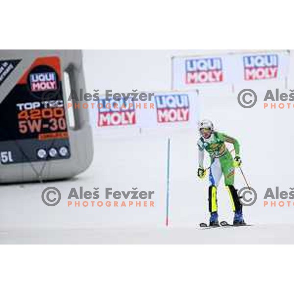 AUDI FIS World Cup Slalom for 55. Golden Fox Zlata Lisica in Maribor, Slovenia on February 2, 2019