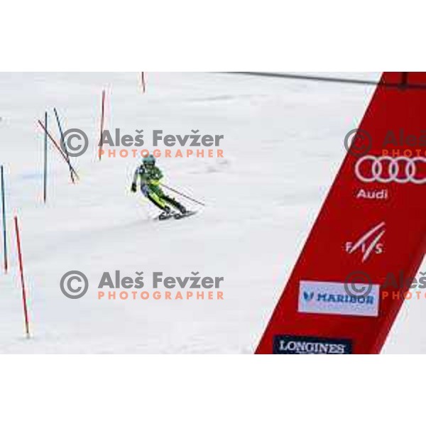 AUDI FIS World Cup Slalom for 55. Golden Fox Zlata Lisica in Maribor, Slovenia on February 2, 2019