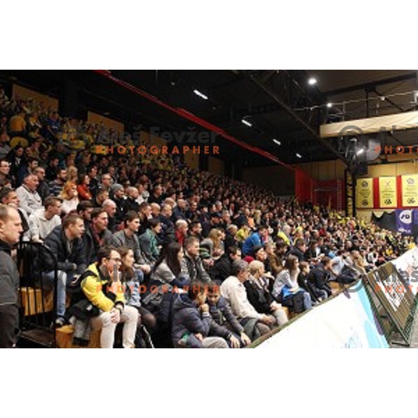action during 1.NLB leasing League handball match between Gorenje Velenje and Celje Pivovarna Lasko in Velenje, Slovenia on February 2, 2019