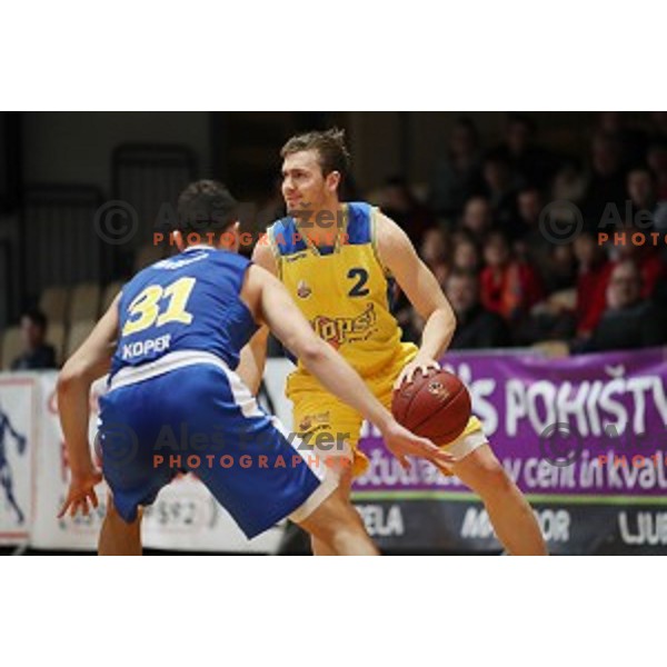 in action during Nova KBM League basketball match between Hopsi and Sixt Primorska in Polzela Sports hall, Slovenia on February 2, 2019