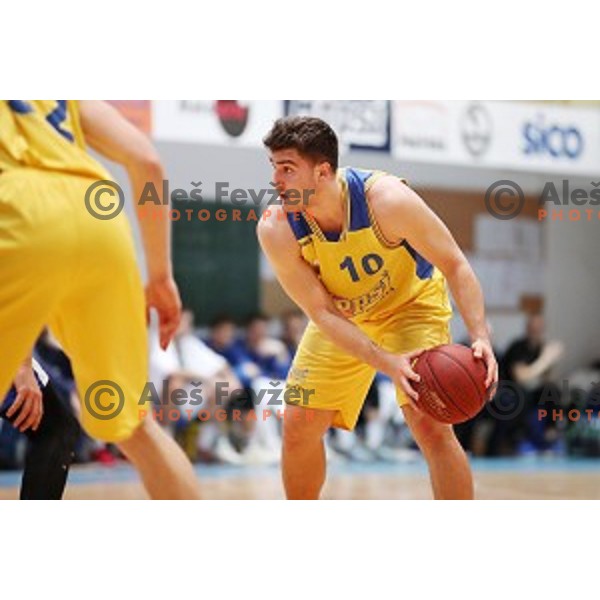 in action during Nova KBM League basketball match between Hopsi and Sixt Primorska in Polzela Sports hall, Slovenia on February 2, 2019