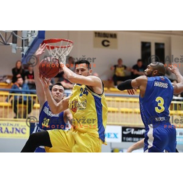in action during Nova KBM League basketball match between Hopsi and Sixt Primorska in Polzela Sports hall, Slovenia on February 2, 2019