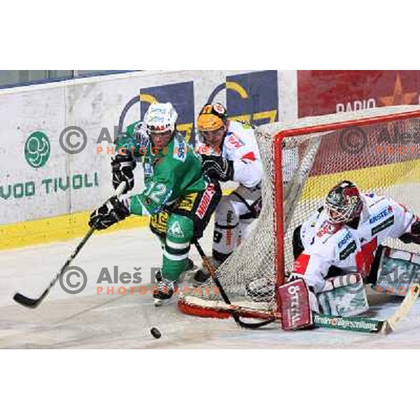 Elik, Sellars and Kotyk at ice-hockey game ZM Olimpija- TWK Innsbruck in Ebel league, played in Ljubljana, Slovenia 3.2.2008.ZM Olimpija won the game 5;2. Photo by Ales Fevzer 