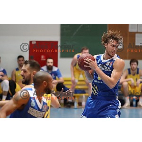 in action during Nova KBM League basketball match between Hopsi and Sixt Primorska in Polzela Sports hall, Slovenia on February 2, 2019