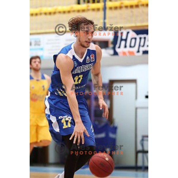 in action during Nova KBM League basketball match between Hopsi and Sixt Primorska in Polzela Sports hall, Slovenia on February 2, 2019