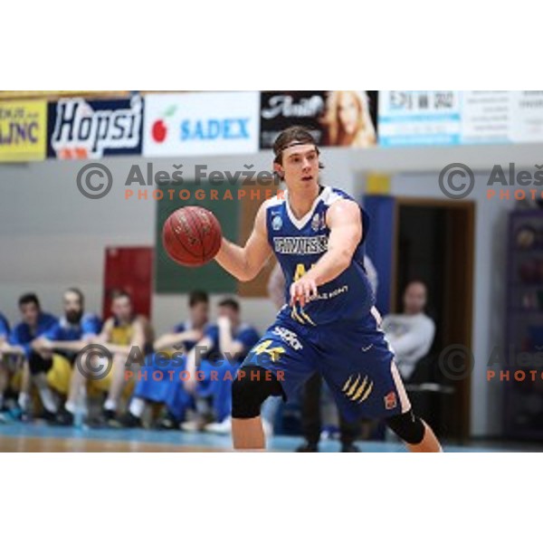 in action during Nova KBM League basketball match between Hopsi and Sixt Primorska in Polzela Sports hall, Slovenia on February 2, 2019