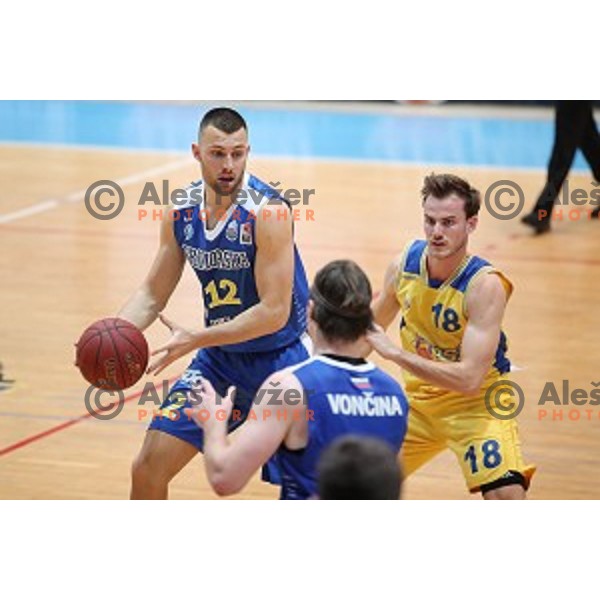 in action during Nova KBM League basketball match between Hopsi and Sixt Primorska in Polzela Sports hall, Slovenia on February 2, 2019