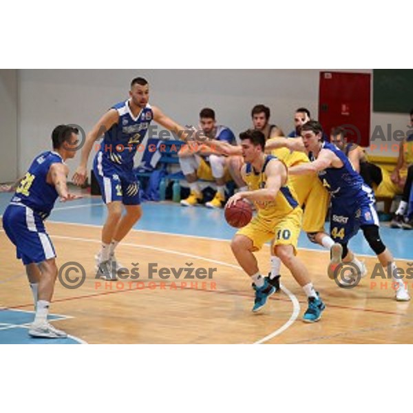 in action during Nova KBM League basketball match between Hopsi and Sixt Primorska in Polzela Sports hall, Slovenia on February 2, 2019
