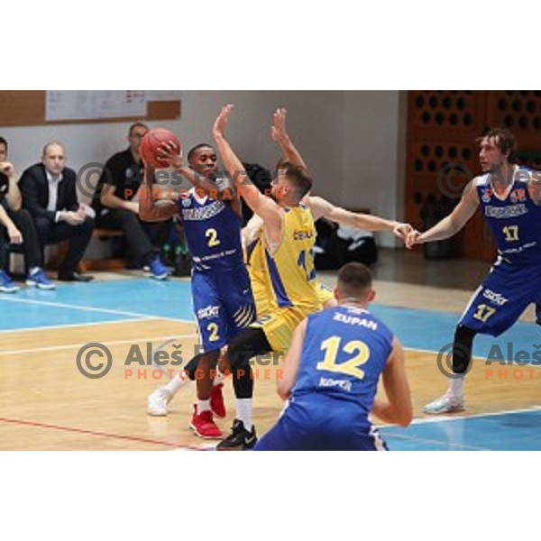 in action during Nova KBM League basketball match between Hopsi and Sixt Primorska in Polzela Sports hall, Slovenia on February 2, 2019