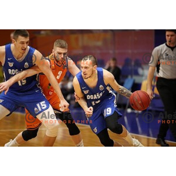 in action during Nova KBM League basketball match between Helios Suns and Rogaska in Domzale Sports Hall, Slovenia on February 3, 2019