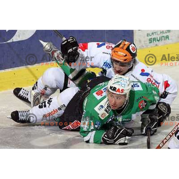 Helfer (6) and Hocevar (41) at ice-hockey game ZM Olimpija- TWK Innsbruck in Ebel league, played in Ljubljana, Slovenia 3.2.2008.ZM Olimpija won the game 5;2. Photo by Ales Fevzer 