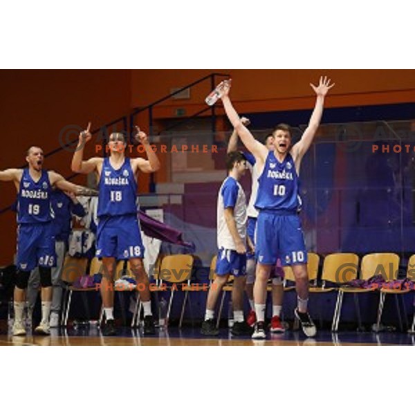 in action during Nova KBM League basketball match between Helios Suns and Rogaska in Domzale Sports Hall, Slovenia on February 3, 2019